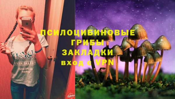 спиды Арсеньев