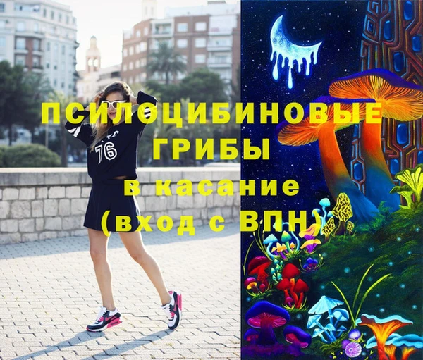 спиды Арсеньев