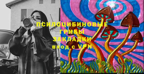 PSILOCYBIN Армянск
