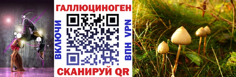 Галлюциногенные грибы Psilocybine cubensis  хочу   Барыш 
